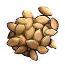 Pumpkin seeds icon